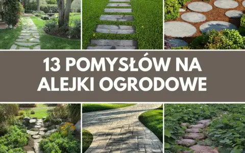 Inspirujące pomysły na alejki w ogrodzie: kamienne ścieżki, drewniane stopnie, okrągłe płyty i kamienie w wodzie.