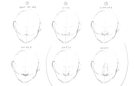 Étapes pour un nez dessin : bout, ailes, narines, ombre et arête.