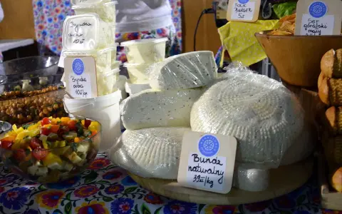 Bryndza: Jak z bundzu rodzi się góralski rarytas? Sekrety produkcji