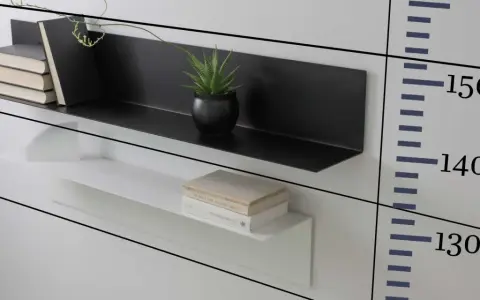 Moderna soluzione per arredare una parete con mensole: una nera con libri e pianta, una bianca con libri.