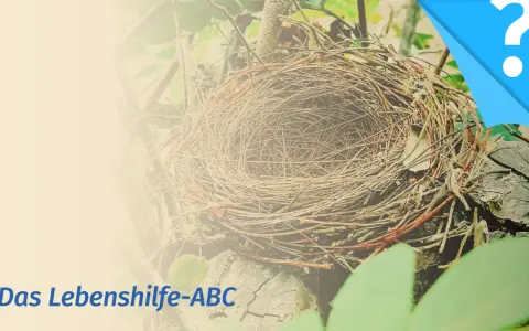 Leeres Vogelnest, Symbol für das "empty nest syndrom". Text: Das Lebenshilfe-ABC.