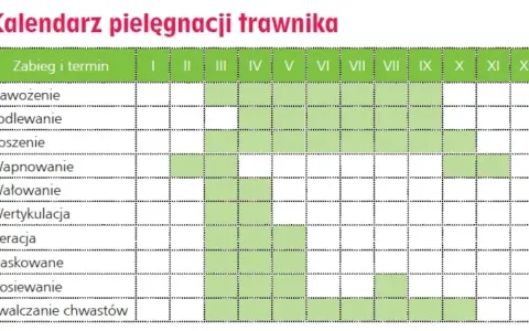 Kalendarz pielęgnacji trawnika: nawożenie, podlewanie, koszenie, wapnowanie, wałowanie, wertykulacja, aeracja, piaskowanie, dosiewanie i zwalczanie chwastów w poszczególnych miesiącach.