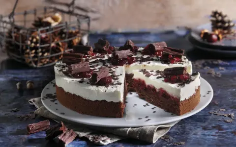 Schokoladen-Sahne-Torte mit Preiselbeeren und Schokostückchen, dekoriert mit Schokoraspeln. Ein Stück ist angeschnitten.
