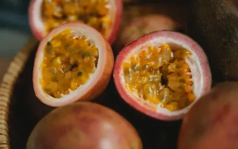 Obst Vitamine: Welche Früchte sind reich an wichtigen Nährstoffen?
