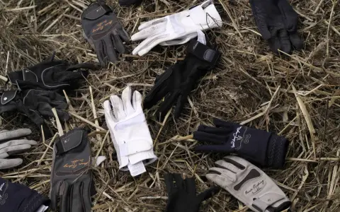 Jak wybrać letnie rękawiczki jeździeckie? Komfort i pewny chwyt