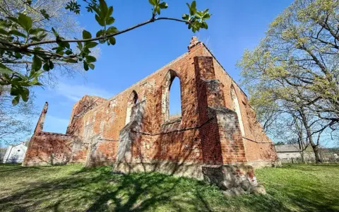 Ruiny ceglanego kościoła w Steblewie na tle błękitnego nieba. Wiosenne liście na gałęziach drzew dodają uroku tej historycznej budowli.