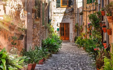 Malerische Gasse in Valldemossa, Mallorca, gesäumt von blühenden Pflanzen in Töpfen an steinernen Hauswänden.