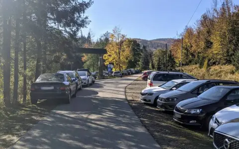 Wielka racza samochodów na leśnym parkingu. Jesienne drzewa i góry w tle.
