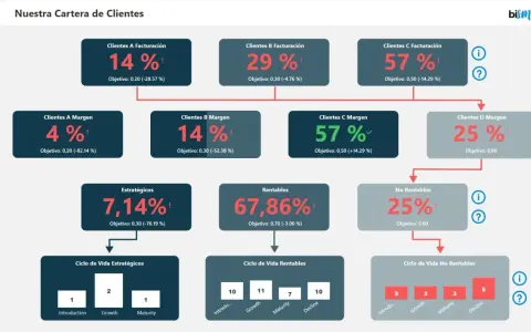 Un cuadro de mando visualiza la cartera de clientes, mostrando métricas clave como facturación, margen, rentabilidad y ciclo de vida, para una gestión estratégica.