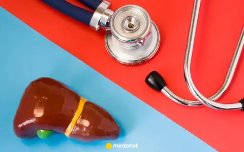 Model wątroby i stetoskop na tle czerwono-niebieskim. Czy to początek efektu nocebo?