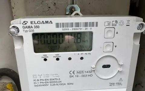 Inteligentny licznik energii elektrycznej Elgama GAMA 350. Wyświetla zużycie 5807.2 kWh.
