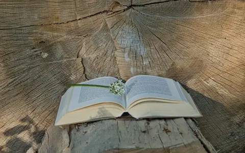 Otwarta księga na pniu drzewa, z kwiatem na stronach. W tle widoczne słoje drewna. Czytanie psalm 4 w naturze.