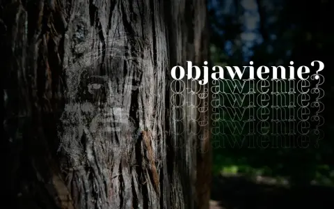 Na pniu drzewa widnieje twarz, jakby objawienie. Obok powtarza się słowo "objawienie?".