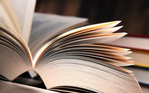 Pages d'un livre ouvert, un exemple de tautologie littéraire. La lumière éclaire les fines feuilles de papier.