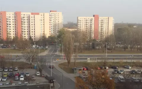 Ustanie członkostwa w spółdzielni: przyczyny, procedury i prawa