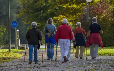 Grupa osób uprawia nordic walking. To świetna forma aktywności, choć ma swoje zalety i wady.