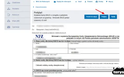EKUZ dla dziecka: Jak wyrobić kartę krok po kroku? Poradnik.