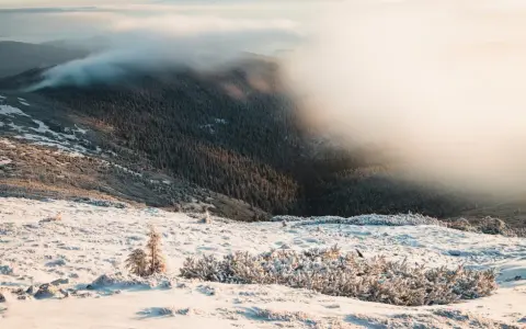 Zimowy krajobraz górski, gdzie mgła otula lasy, a śnieg pokrywa zbocza. Widok przypomina kocioł wielkiego stawu, otoczony mroźnym pięknem.