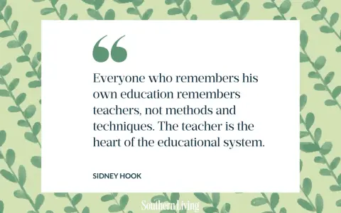 Frases maestra: "El maestro es el corazón del sistema educativo", cita de Sidney Hook sobre la importancia de los educadores.