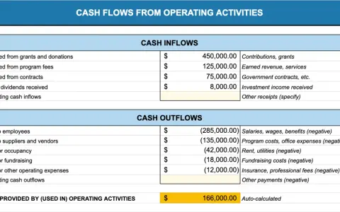 Nonprofit financial planning: A cash flow statement showing inflows from grants, fees, and contracts, and outflows for salaries, rent, and fundraising.