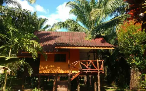 Drewniany domek na palach, otoczony palmami. Idealny na nocleg tranzytowy, gdy potrzebujesz odpoczynku w podróży.