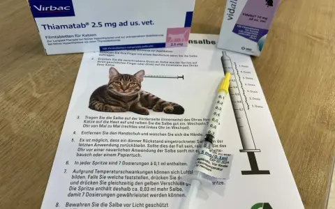 Wichtige Medikamente bei Schilddrüsenüberfunktion bei Katzen und ihre Wirkung