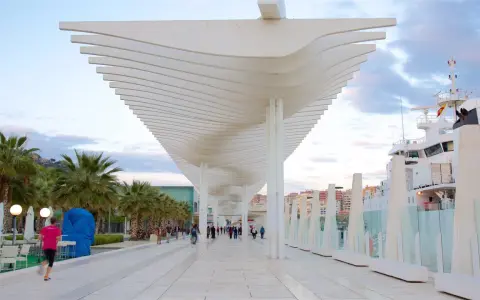 Passeggiata moderna al malaga porto, con palme, una nave bianca e un cielo nuvoloso.