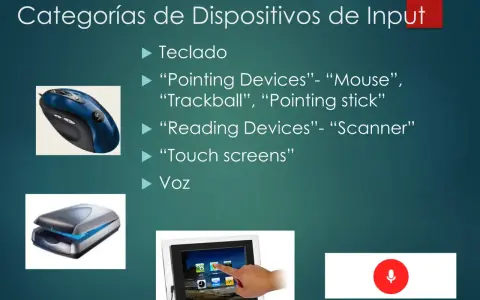 Dispositivos de input: teclado, mouse, scanner, pantalla táctil y micrófono. La diferencia entre input y output es cómo la información entra o sale del sistema.