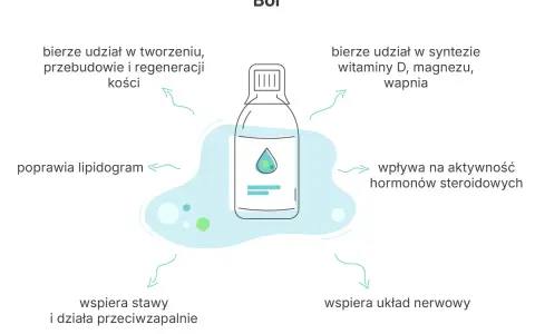 Bor wspiera kości, stawy i układ nerwowy, poprawia lipidogram, wpływa na hormony steroidowe i syntezę witaminy D.