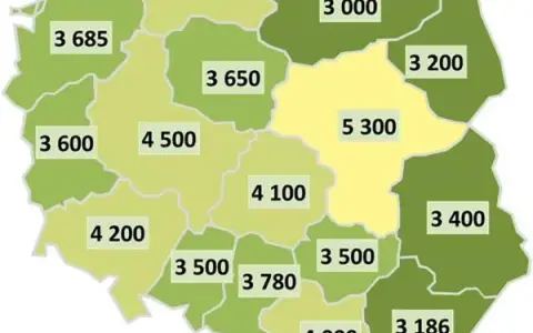 Ile zarabia geodeta w Polsce? Zaskakujące różnice w wynagrodzeniach