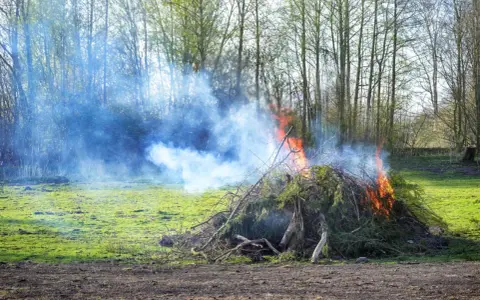 Ogień i dym z palonych gałęzi na podwórku. Uważaj, bo to może być mandat za palenie śmieci.