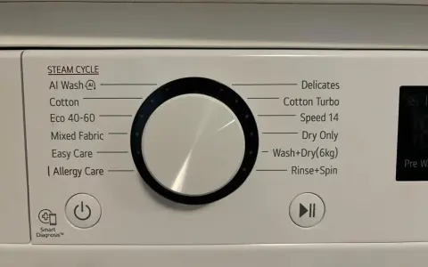 Panel pralki z programami: Al Wash, Cotton, Eco 40-60, Mixed Fabric, Easy Care, Allergy Care, Delicates, Cotton Turbo, Speed 14, Dry Only, Wash+Dry(6kg), Rinse+Spin. Jak prać wełnę w pralce? Wybierz delikatny program.