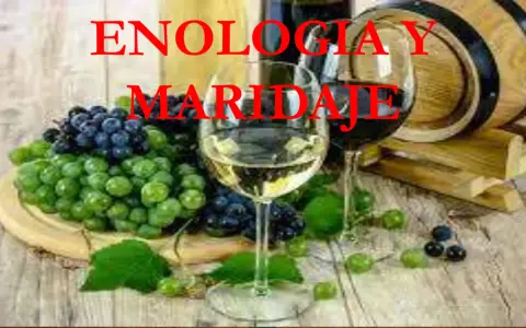 Un tratado de enología sobre el maridaje de vinos y uvas. Copas de vino, uvas verdes y moradas, y un barril de madera.