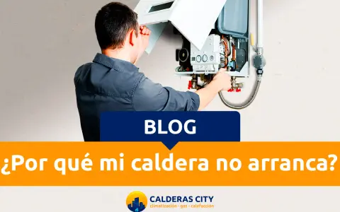 Técnico revisando una caldera Wolf, solucionando problemas comunes. ¿Por qué mi caldera no arranca?