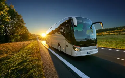 Pojemność autokarów: Ile miejsc? Od 8 do ponad 85!
