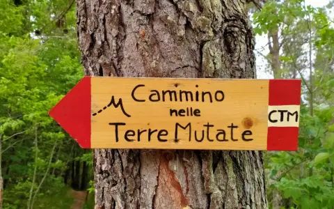 Cartello in legno con freccia rossa indica il "Cammino nelle Terre Mutate". CTM.