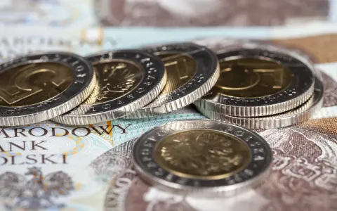 Złote monety i banknoty Narodowego Banku Polskiego. Czy dodatek pielęgnacyjny to wsparcie, czy zasiłek pielęgnacyjny?