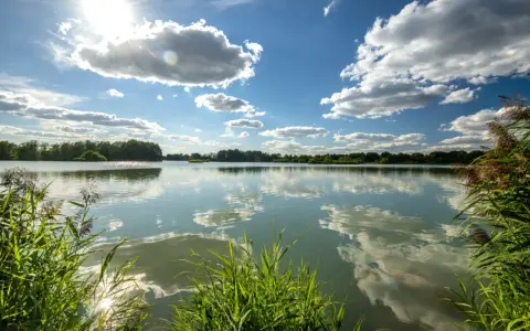 Sonnenschein über dem celle see, mit Wolken, die sich im ruhigen Wasser spiegeln. Schilf säumt das Ufer.