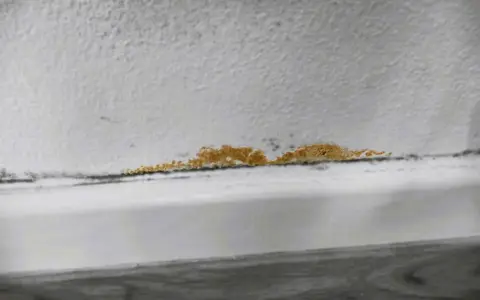 Una macchia di muffa arancione si estende lungo il bordo di un muro bianco, segno di umidità.