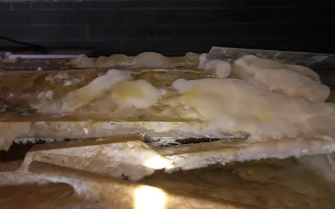 Gros plan sur des poutres en bois envahies par une moisissure blanche et jaune, signe d'une infestation nécessitant un traitement contre la mérule.