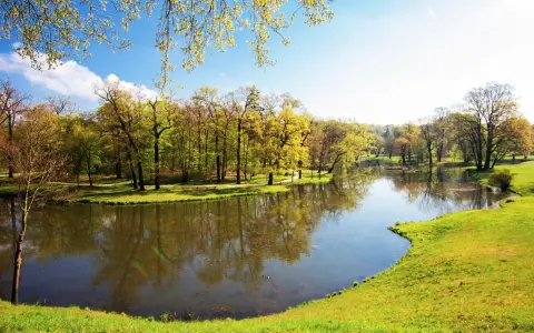 Malowniczy park z jeziorem i drzewami w wiosennej odsłonie. Idealne miejsce na spacer i podziwianie łęknica atrakcje.