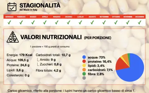 I lupini sono legumi nutrienti, disponibili tutto l'anno. Ecco i loro valori nutrizionali per porzione: 179 Kcal, 24,6g proteine, 10,7g carboidrati.