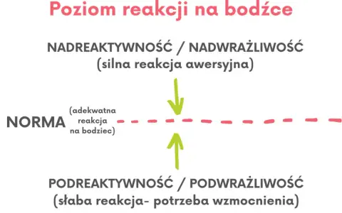Diagram ilustruje poziom reakcji na bodźce: nadreaktywność (silna reakcja), norma (adekwatna reakcja) i podreaktywność (słaba reakcja, potrzeba wzmocnienia).