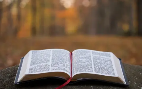Otwarta Biblia na kamieniu, w tle jesienny las. Wzmianka o św. Marku patronie.