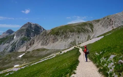 Una persona con zaino e bastoncini da trekking percorre un sentiero fiorito durante un'escursione sul Gran Sasso, con montagne imponenti sullo sfondo.