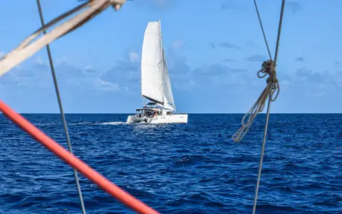 Un catamaran blanc navigue sur l'océan bleu. La durée de la traversée de l'Atlantique en bateau est longue, mais la beauté du voyage est inestimable.