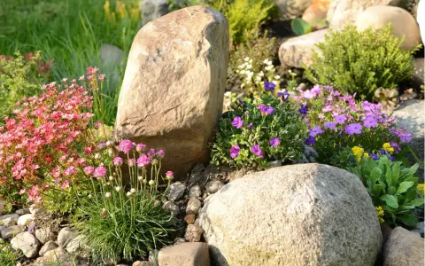 Natürliche Steine und bunte Blumen verschönern den Garten. Ein Steinbeet mit rosa und lila Blüten, ideal zum **Garten dekorieren mit Steinen**.
