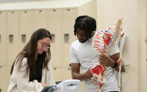 Zwei Studierende lernen Anatomie. Sie diskutieren, wo sie ihr Praktikum machen sollen, während sie ein Skelettmodell betrachten.