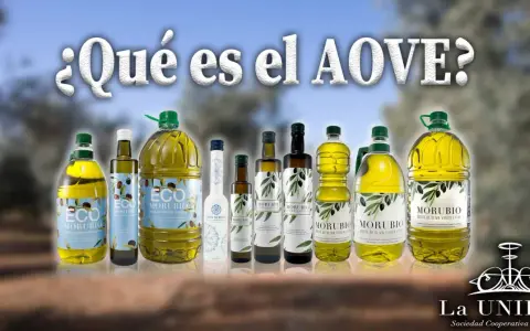 Varias botellas de aceite de oliva virgen extra (AOVE) Morubio. El AOVE es un alimento saludable y versátil, ideal para cocinar y aliñar.