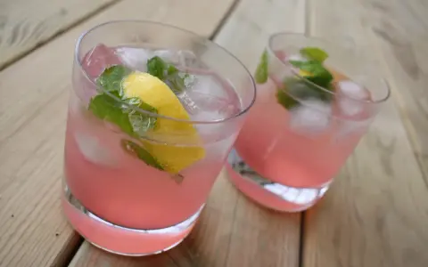 Två glas med rosa rabarberdrink, is, citron och mynta på träbord.